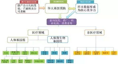 解密千年生命密码 基因测序技术重塑未来医疗与健康管理