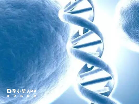 “正常人”的血检迷思 为何基因诊断是探索生命的坐标，而非喧嚣的赌注