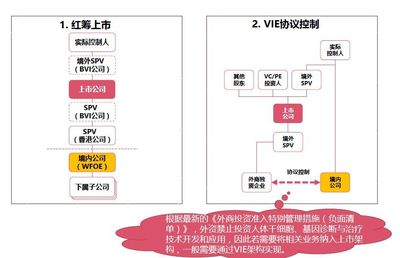 普华永道税务合伙人曹菲 医药医疗企业不同阶段的财税经验分享——以人体基因诊断为例